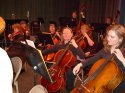Cello section